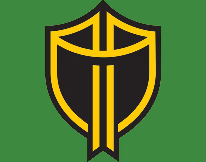 Presidents Cup History